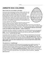 The rich resources have successfully allowed their evolution into amniotes. Amniote Egg Coloring Name Amniote Egg Coloring Which Came First The Chicken Or The Egg Animals Have Been Laying Eggs For Millions Of Years Snails Fish Course Hero