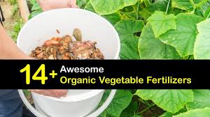 diy vegetable fertilizer feed your