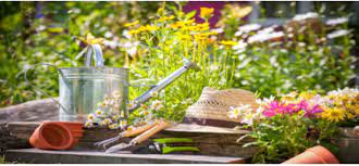 Top 5 Tips To Keep Your Garden Space