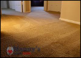 carpet repair ta fl don t replace