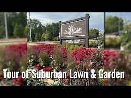 Tour Of Suburban Lawn Garden