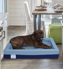 Dog Beds Buy Dog Beds In India