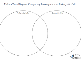 Prokaryote And Eukaryote Venn Diagram Sada Margarethaydon Com
