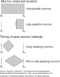 Murmur Systolic The Rational Clinical Examination