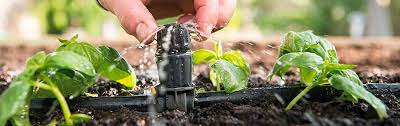 automatic garden watering system