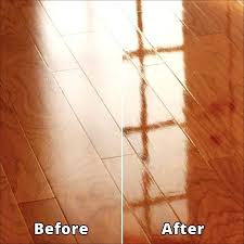 rejuvenate professional wood floor