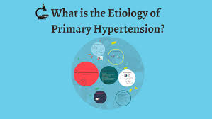 The Etiology Of Primary Hypertension By Jeren Vargas On Prezi