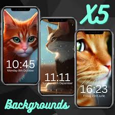 Cat Kitten Phone Wallpaper Iphone
