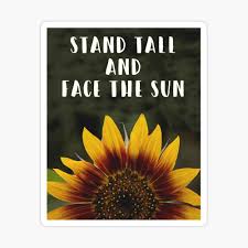 What does stand tall expression stand tall. Stand Tall And Face The Sun Quote Sunflower Print Art Print By Bwatkinsphoto Redbubble