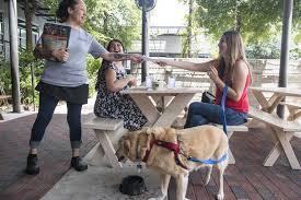 7 dog friendly restaurants bars with