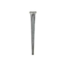 tremont nail cc10 steel common cut