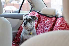 How To Back Seat Pet Protector