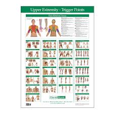 Trigger Point Chart Upper Extremity