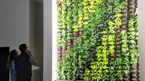 florafelt pockets living wall by plants