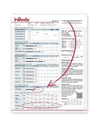 Inbody 570 Inbody Uk Advanced Body Composition Analyzer