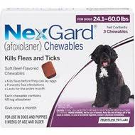 Bravecto Vs Nexgard For Dogs Our 2019 Guide To Which One Is
