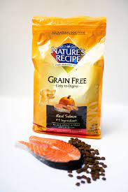 recipe grain free salmon dog food