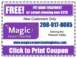 magic carpet cleaning coupon pet odor