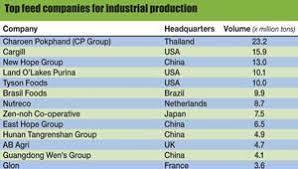 Top Feed Companies Report Positive Market Signals