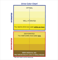 9 Sample Urine Color Charts Pdf