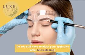 pluck your eyebrows after microblading