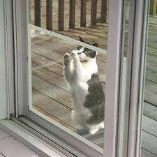 Maybe you would like to learn more about one of these? Claws Off Screen Door Protector Save Screens From Pet Or People Damage Installs In Seconds And Snaps On And Screen Door Protector Door Protector Cat Door Diy