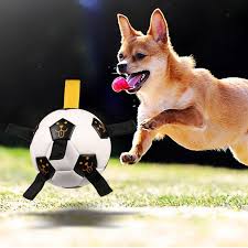 dog toy soccer ball toys for puppy
