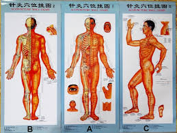 Acupuncture Charts Acupuncture Posters Points Meridian