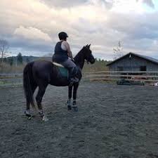 Nicola Essex On Facebook I Am From Nz Where All Our Riding