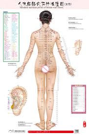 Us 17 0 5 Off Standard Meridian Points Of Human Wall Chart Male Female Acupuncture Massage Point Map Flipchart Hd 3 Chinese And English In Massage