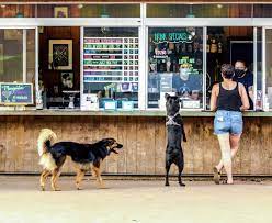 dog friendly patios and bars in austin
