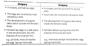 Differentiate between (a) oestrus and menstrual cycles, (b) ovipary and  vivipary. Give an example for each type.