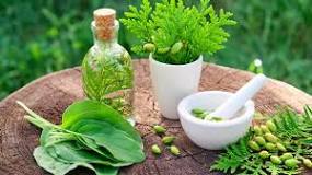 Naturopathe : c'est quoi ? Bienfaits et guide de la naturopathie