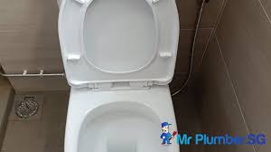Toilet Bowl Installation Plumber