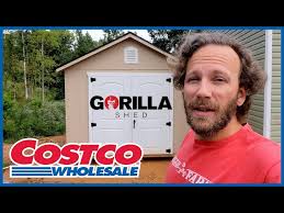 Gorilla Shed From Costco 10x12
