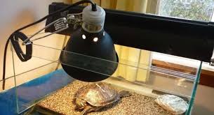 The 5 Best Heating Lamps For Turtles Uvb Light Bulbs