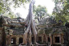 Our students, alumni, faculty and staff know that perseverance and passion lead us to do great things so we can improve the lives of many and find answers to some of the world's biggest challenges. Angkor Dies Sind Die Schonsten Tempel