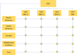 Common Organizational Structures Principles Of Management