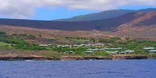Image result for Lanai—“The Pineapple Isle” ...