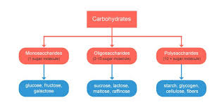 Carbohydrate Classification Chart Primary Sources Daily