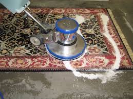 steam cleaning and carpet shooing