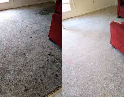 eco cleaning solutions of va serving
