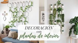 Por eso, la decoración debe ser la adecuada y la correctamente. Decoracion Con Plantas De Interior 12 Ideas Para Tu Casa La Cartera Rota