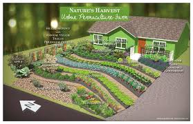 harvest permaculture urban farm