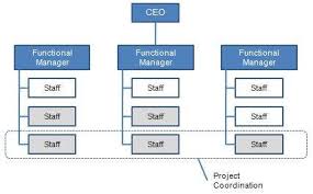 Organizational Structures Tutorialspoint