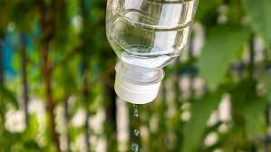 3 easy diy plant watering systems