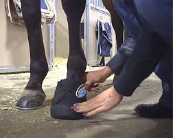 Horse Hoof Boots And Gel Insert Orthotics For Horses Soft Ride