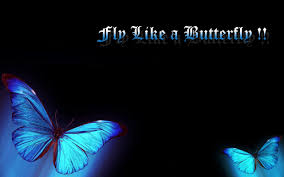 Gambar tersebut bisa anda download langsung, caranya silahkan klik pada gambar. 3d Butterfly Wallpaper Gambar Keren