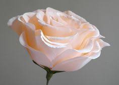 Compare Prices on Pink Paper Roses  Online Shopping Buy Low Price    