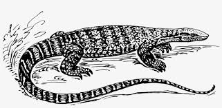 Clip art is a great way to help illustrate your diagrams and flowcharts. Komodo Dragon Clipart Black And White Largarto Preto E Branco 1280x640 Png Download Pngkit